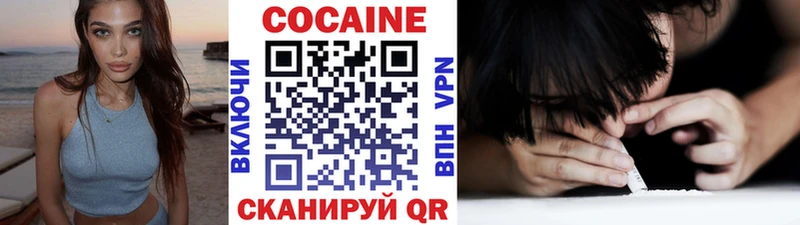 Купить закладки  Артём  Cocaine Fish Scale 