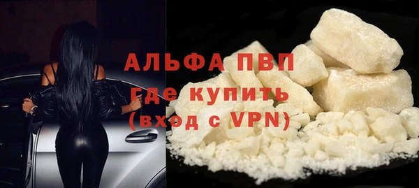 2c-b Новозыбков
