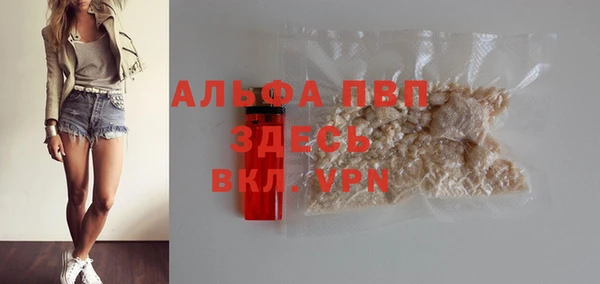 2c-b Новозыбков